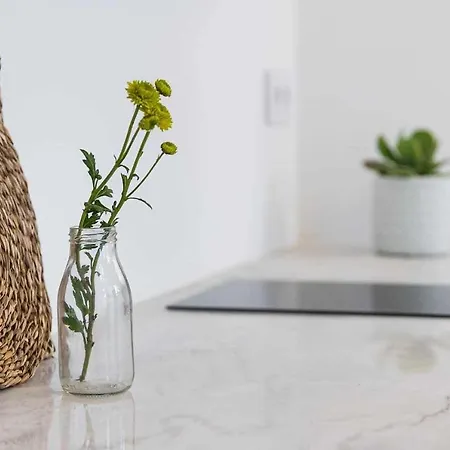 Classic Bonjardim Apartment Porto