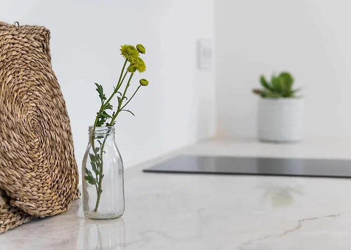 Classic Bonjardim Appartement Porto